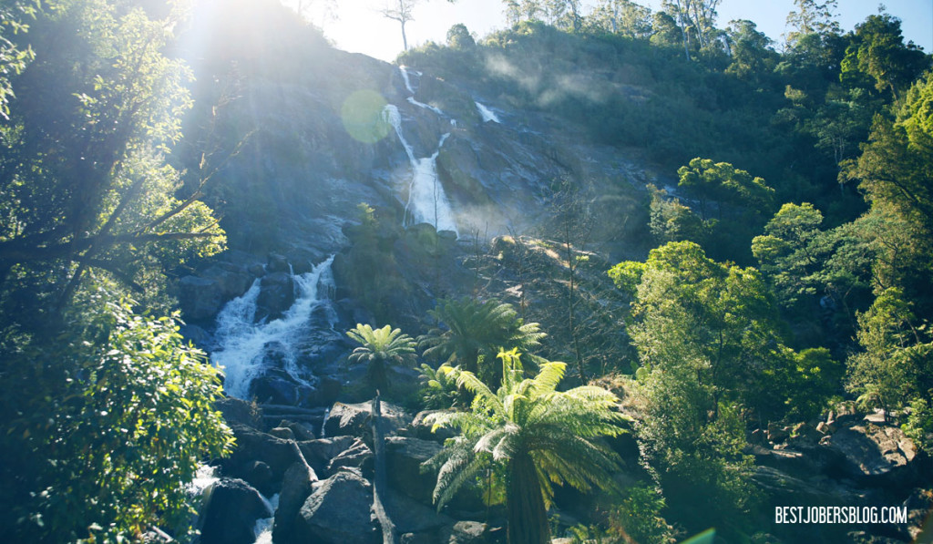 cascades tasmanie