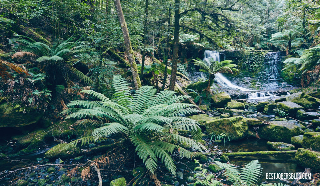 Horseshoe falls tasmanie