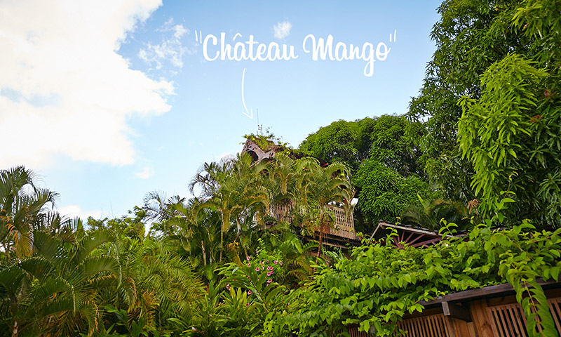 Chateau Mango