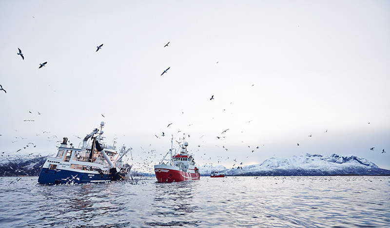 bateaux de peches norvegiens