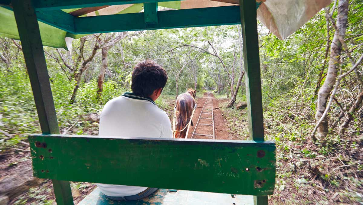 cenote-cheval-cuzama