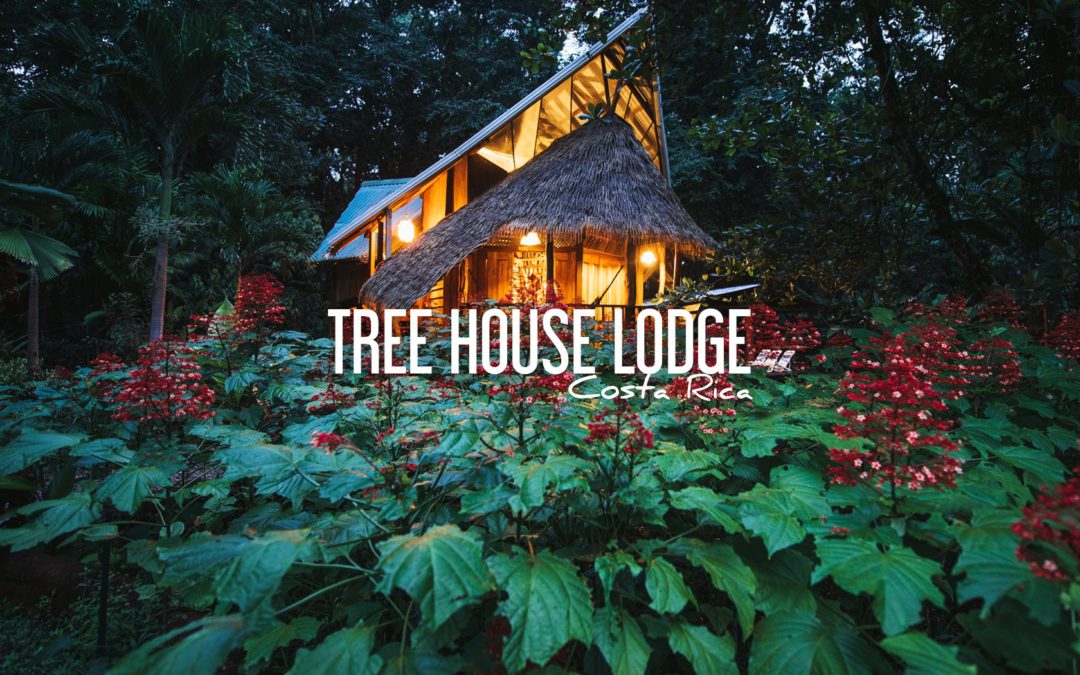 tree house lodge costa rica