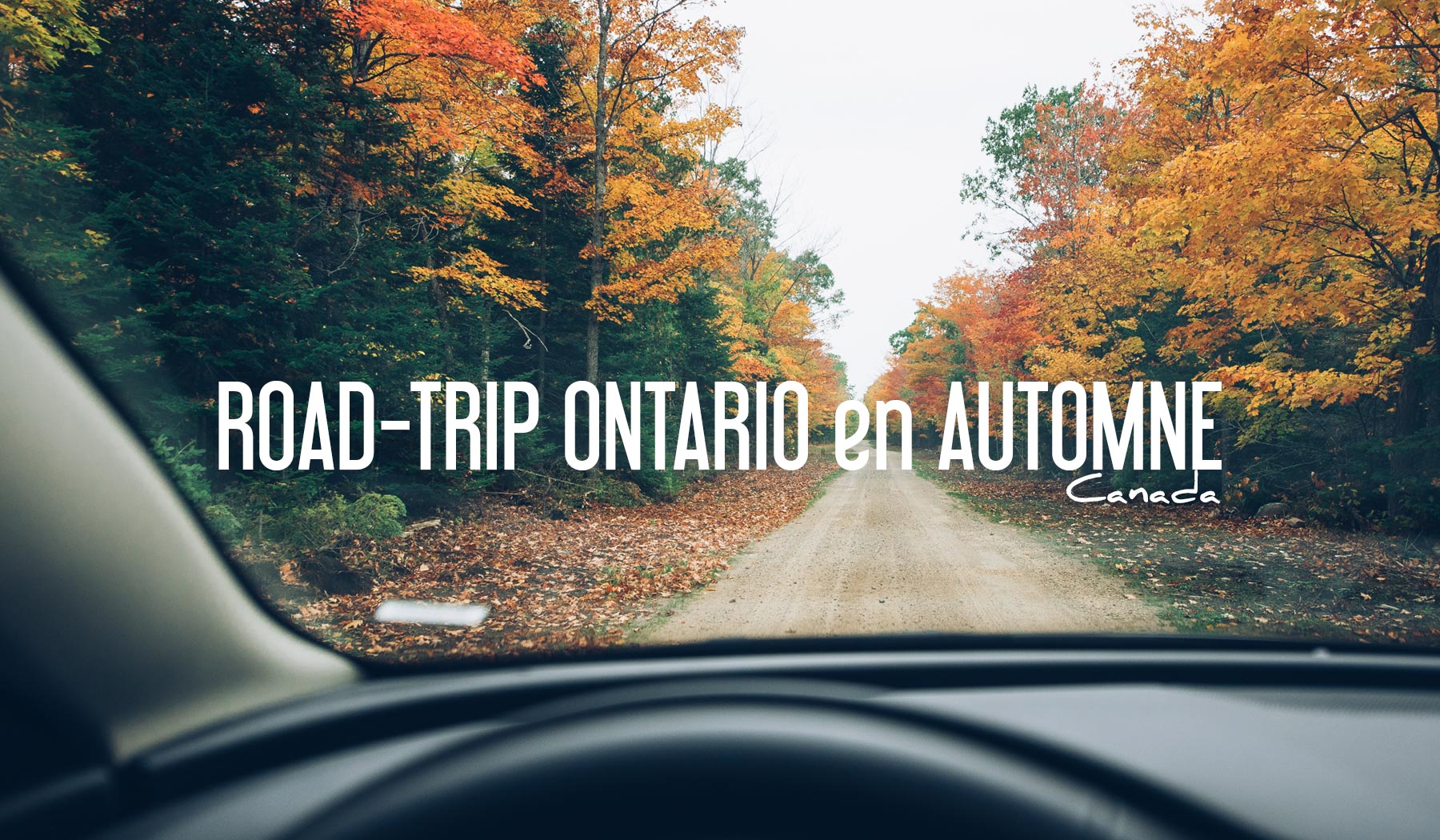 Road Trip Ontario Automne