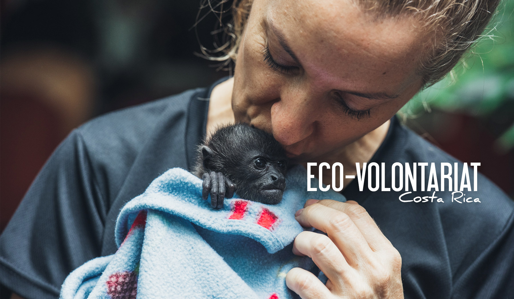 Eco Volontariat au Costa Rica bonnes adresses