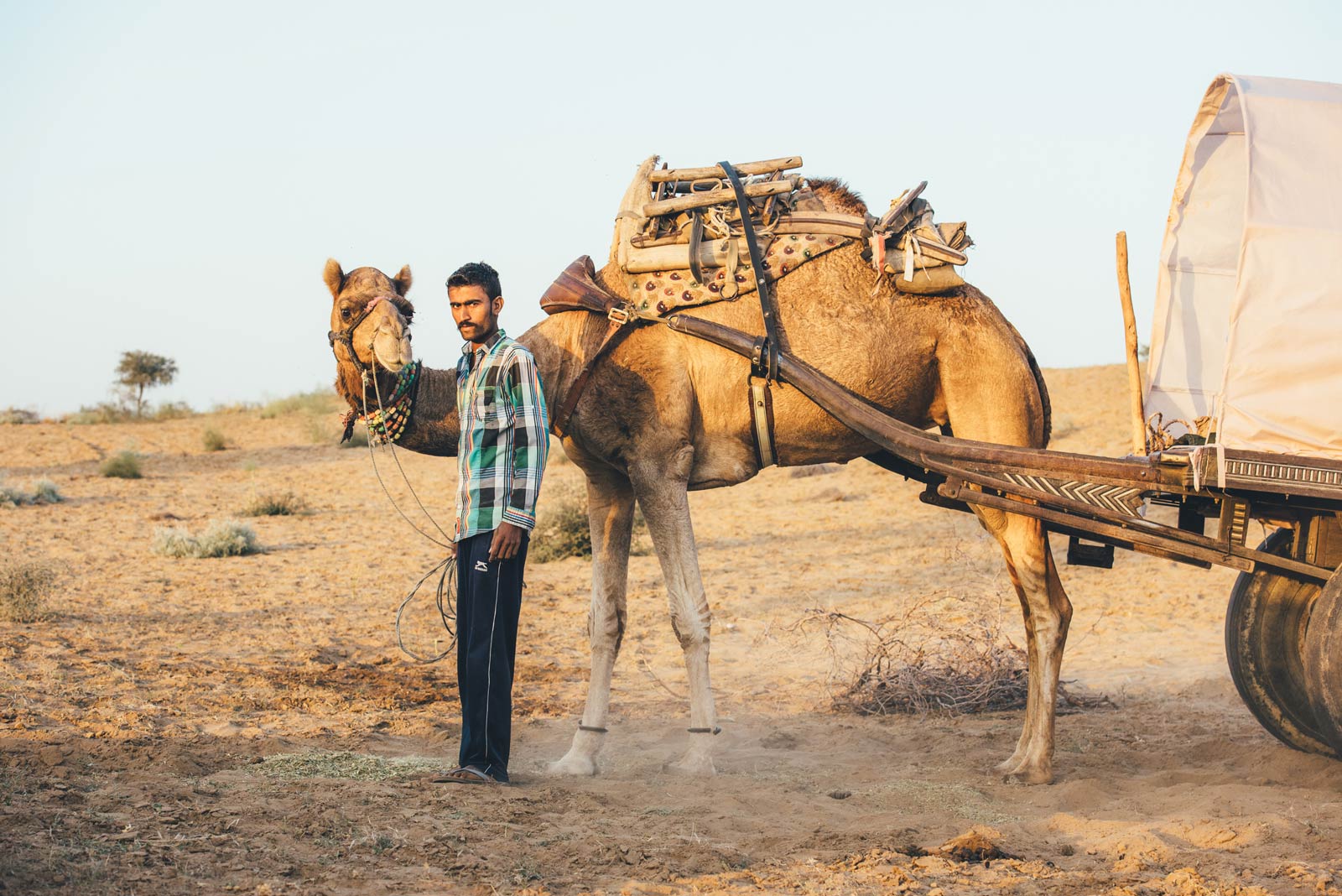 sortie chameau desert inde