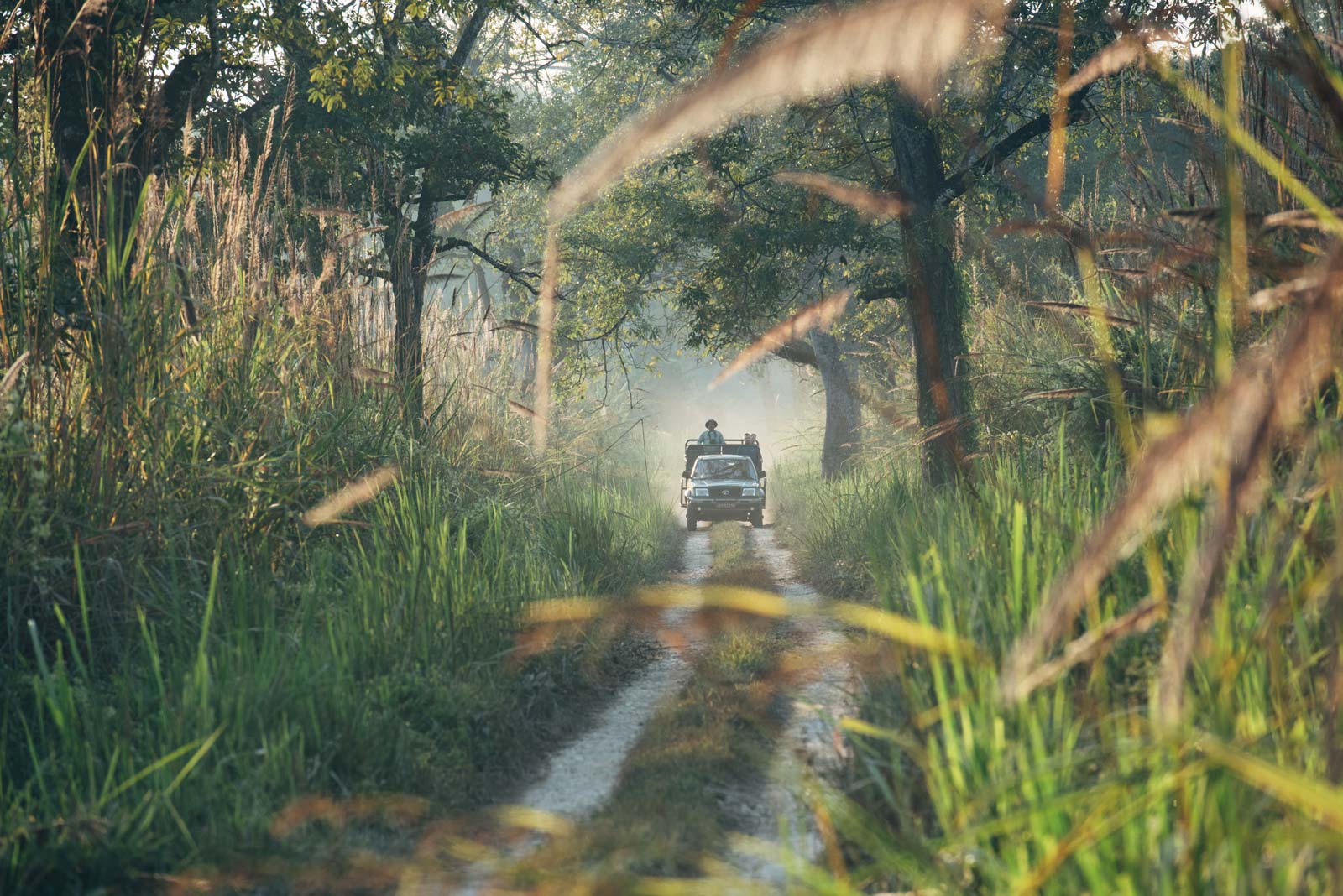 safari en jeep chitwan népal