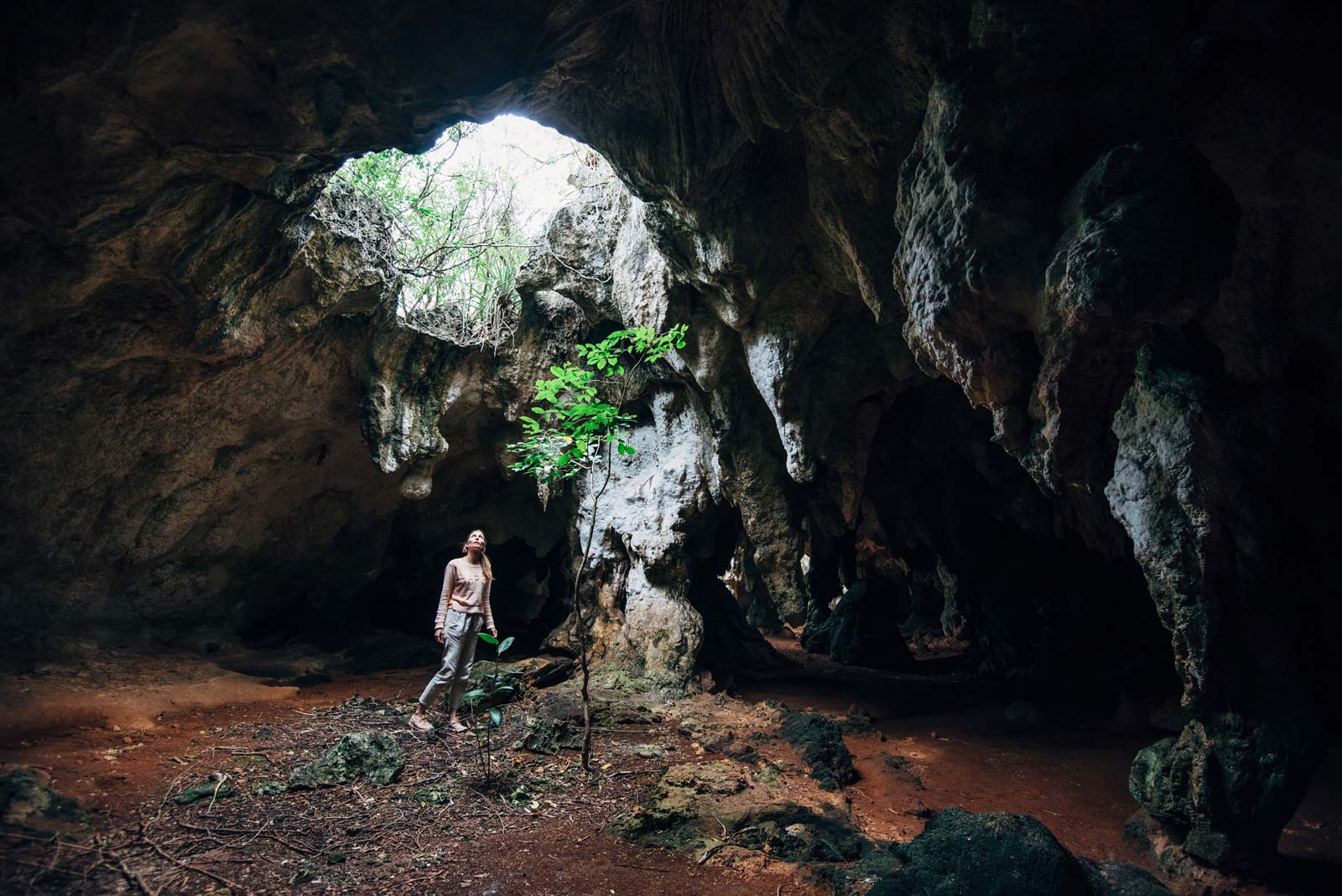Hamilton's Cave, Long Island, Bahamas