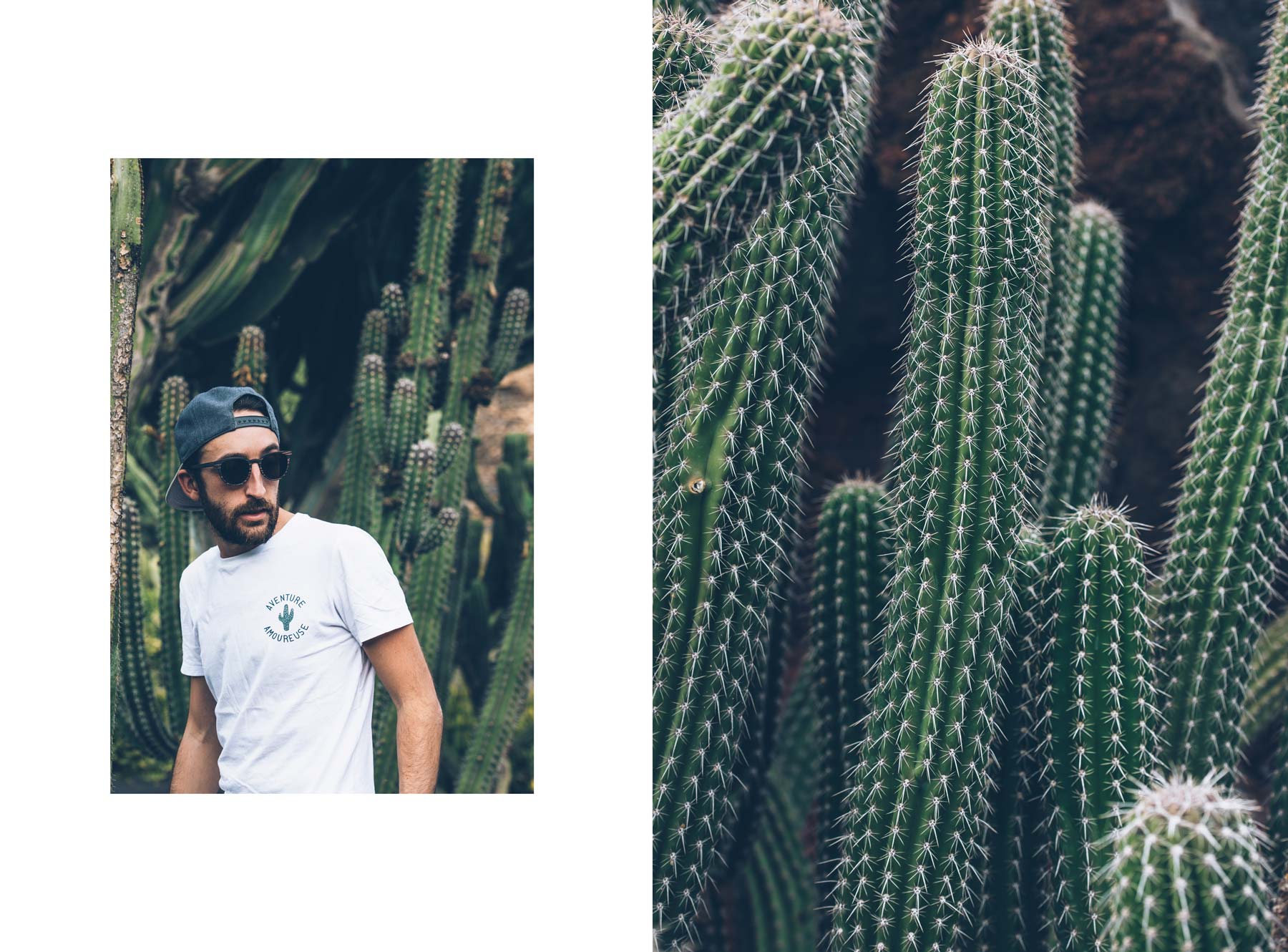 Faguo au Jardin de Cactus, Lanzarote