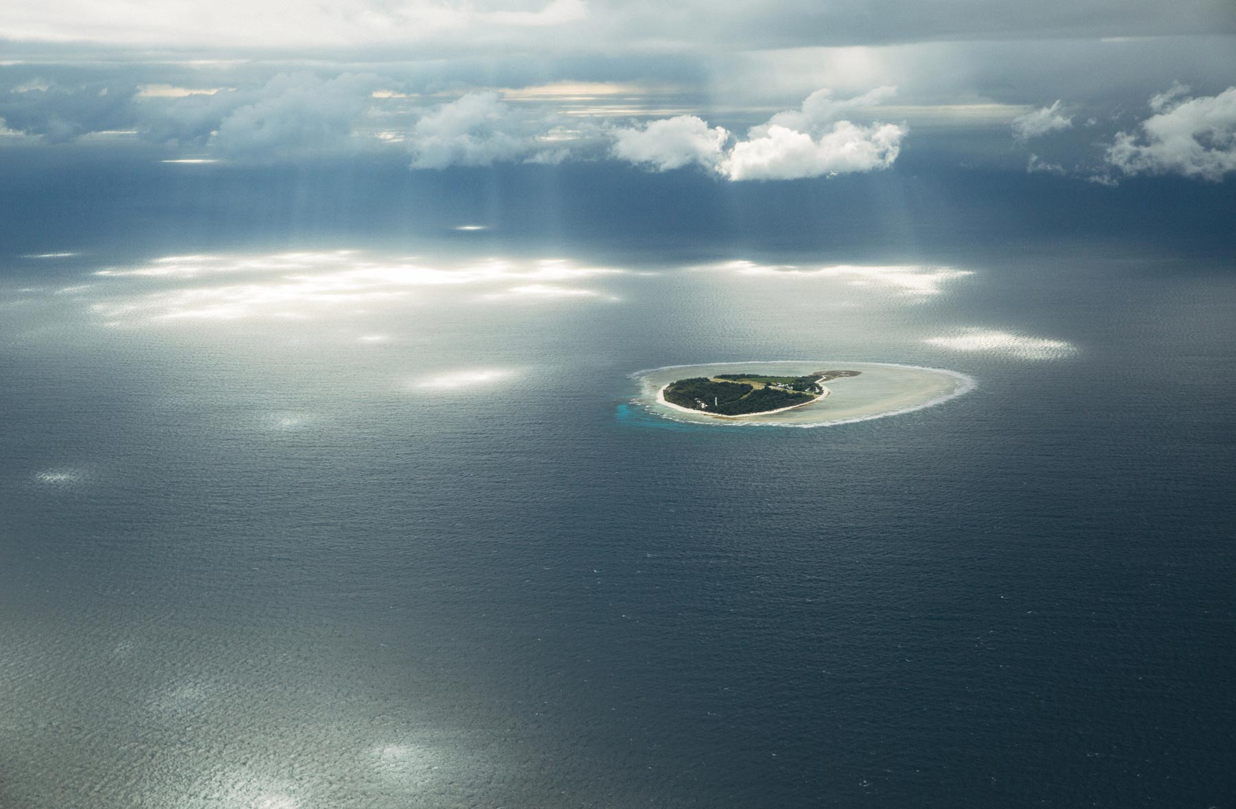 Lady Elliot Island, Grande Barrière de Corail