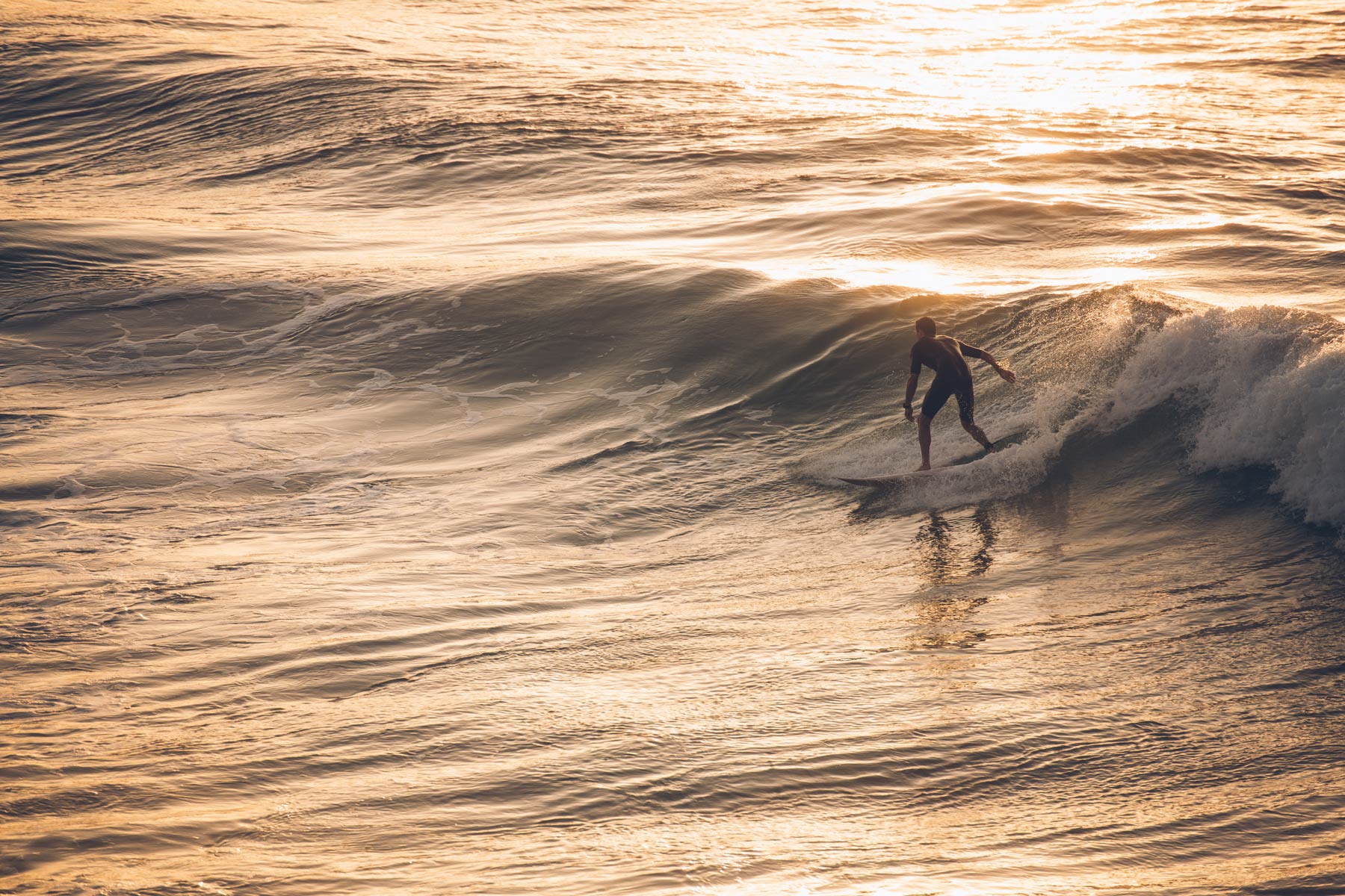 Bondi Beach Surfer