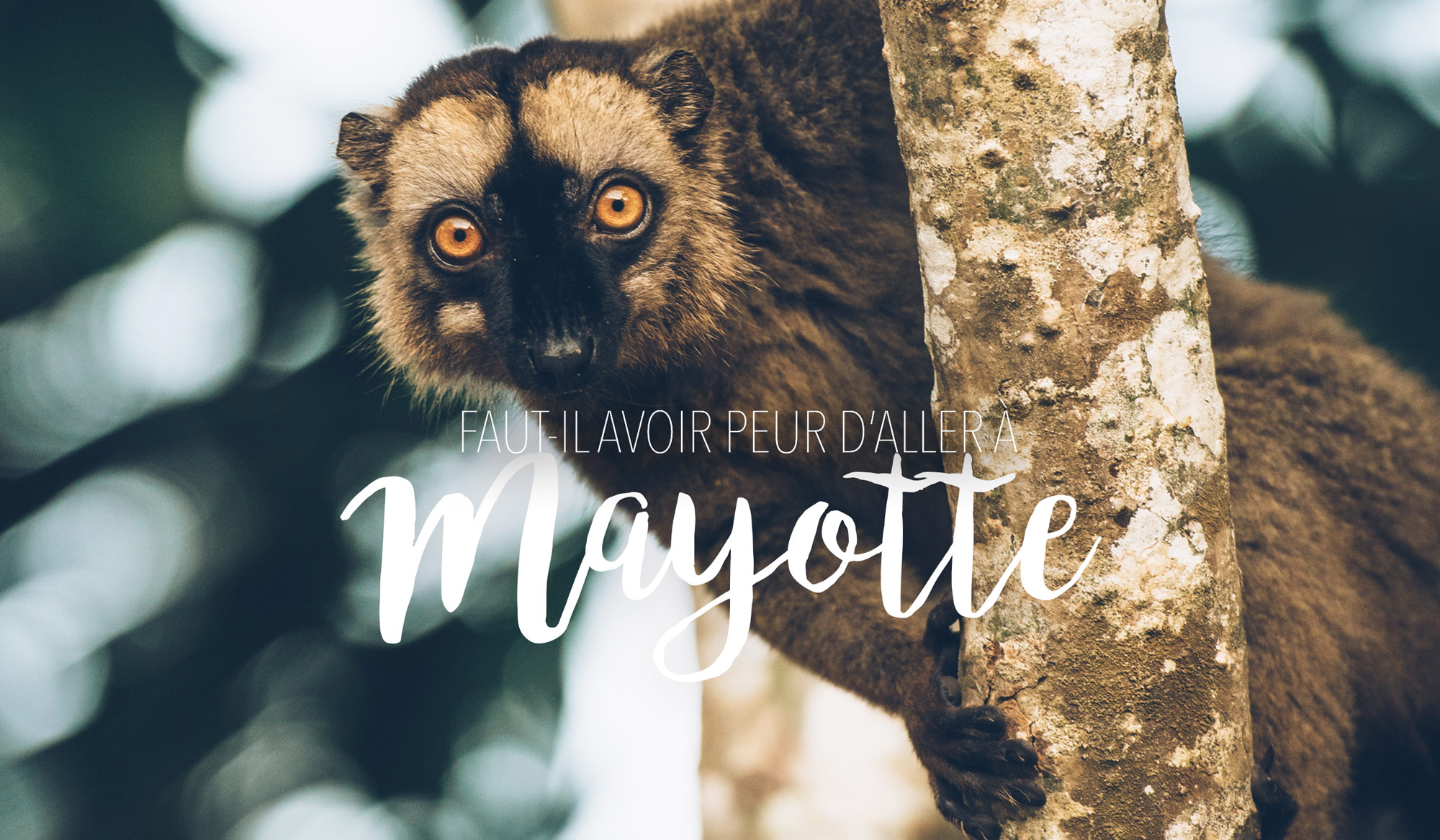 Faut-il avoir peur d'aller à Mayotte?