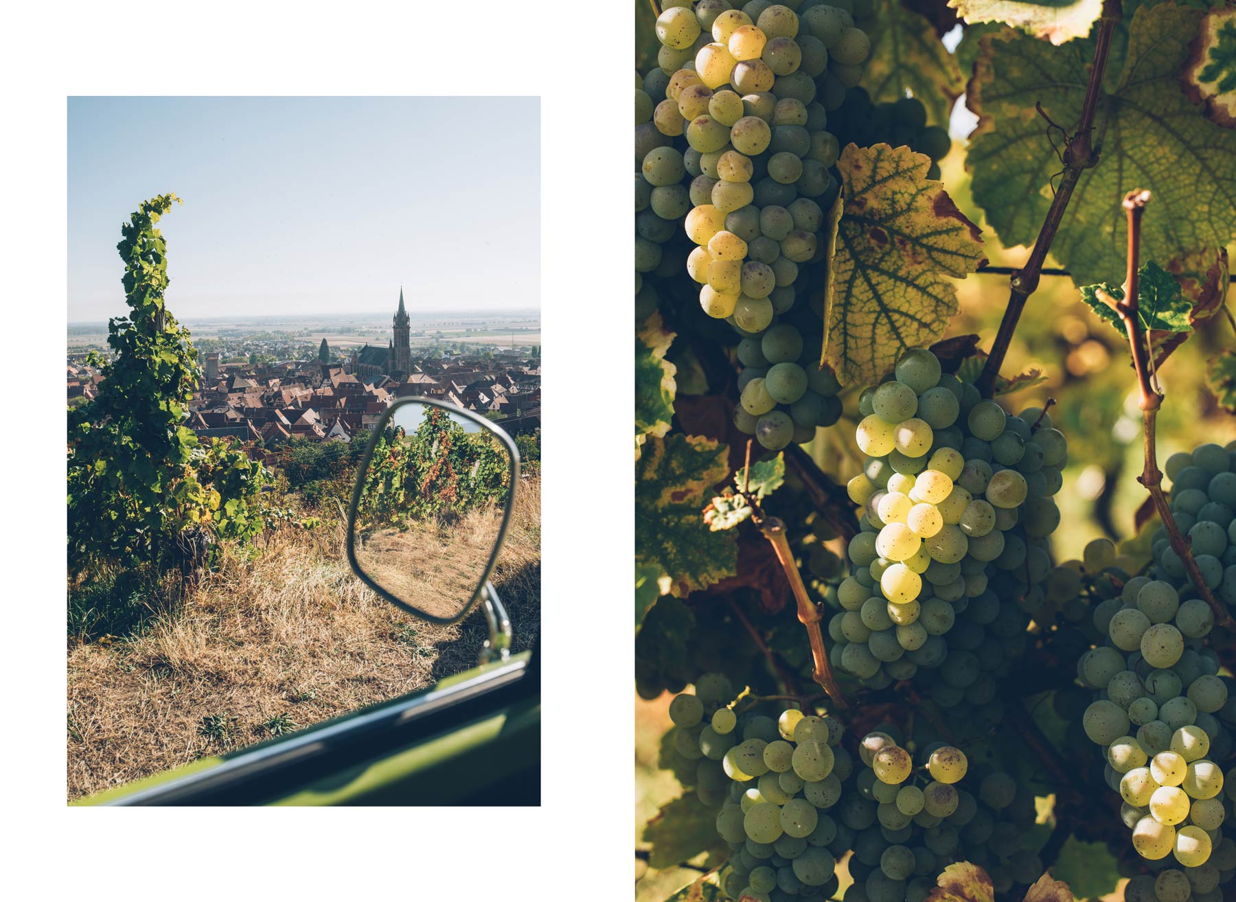 Route des vins en combi VW, Alsace