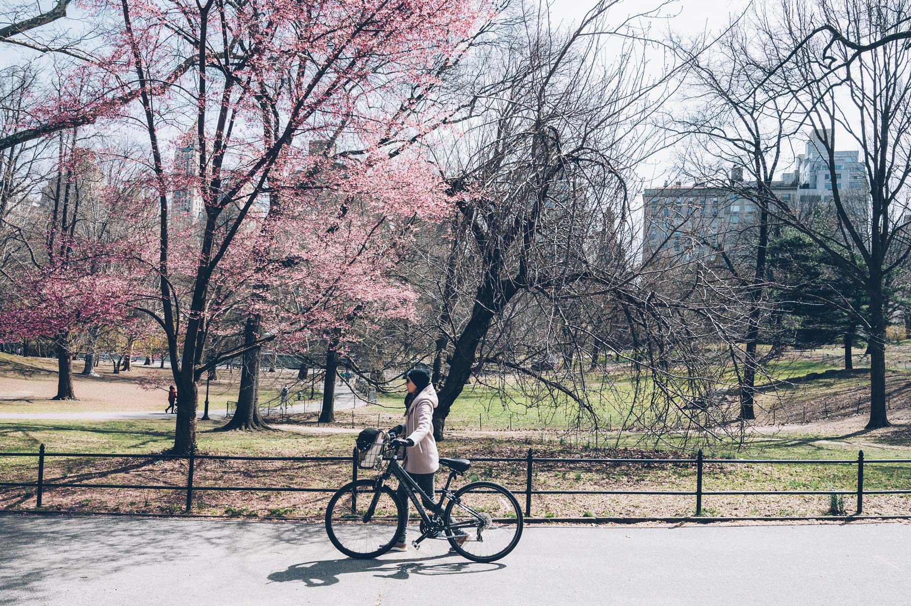 Central Park à Vélo avec New York en français