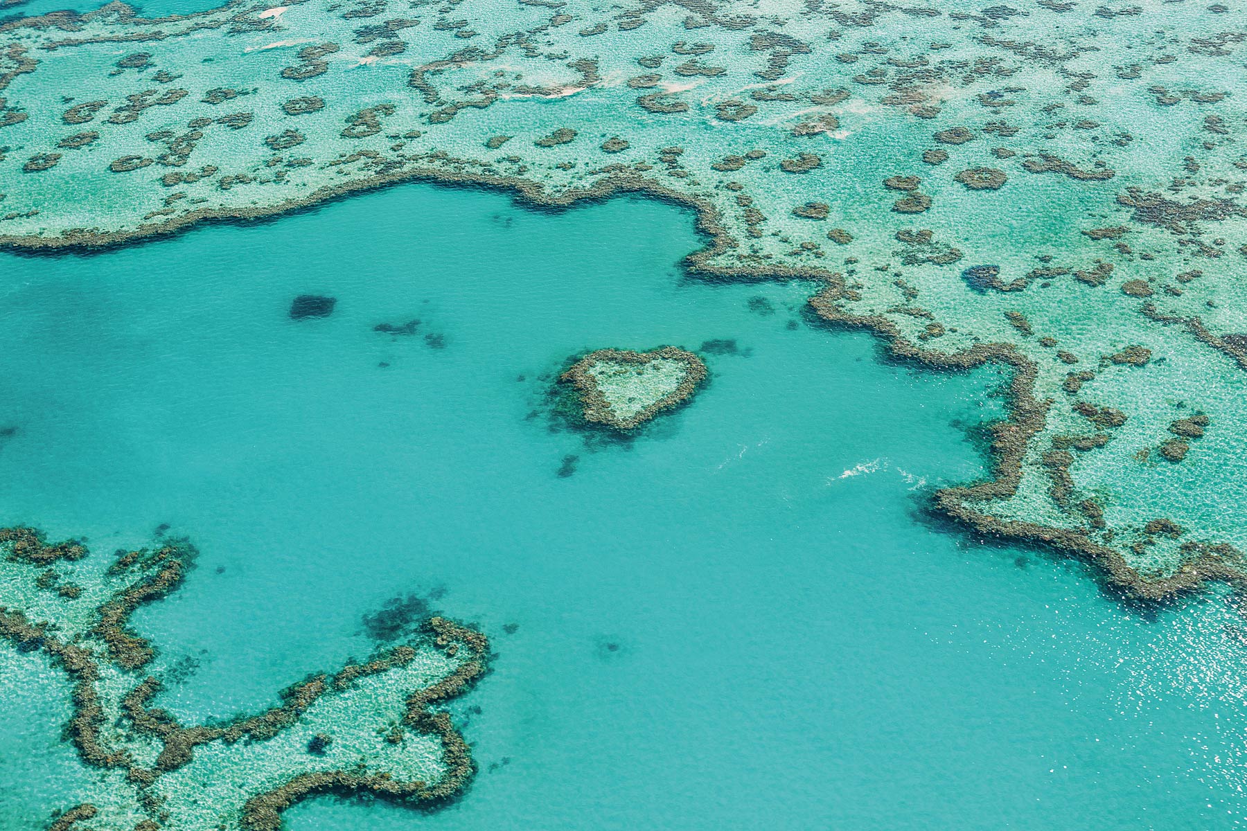 Coeur de corail, Australie