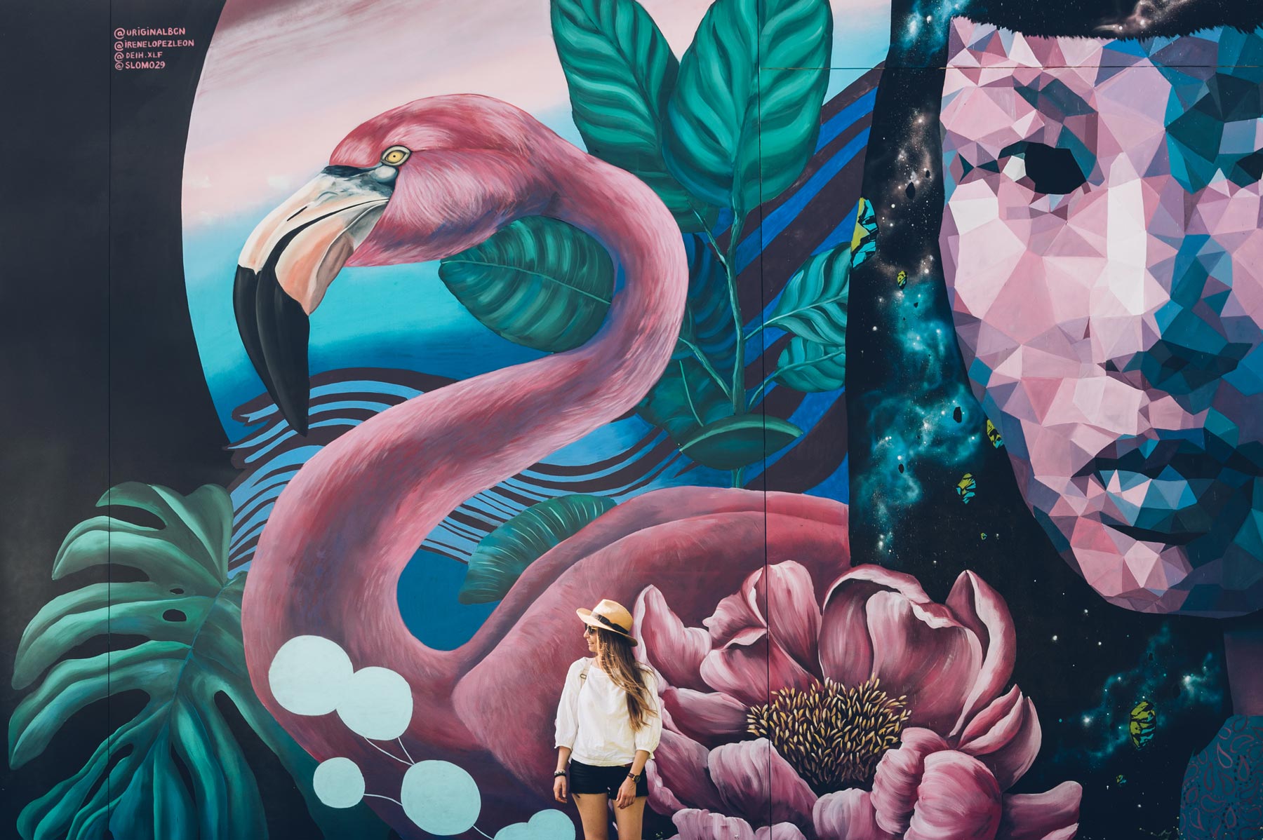 Flamants Rose, Street Art Miami, Wynwood