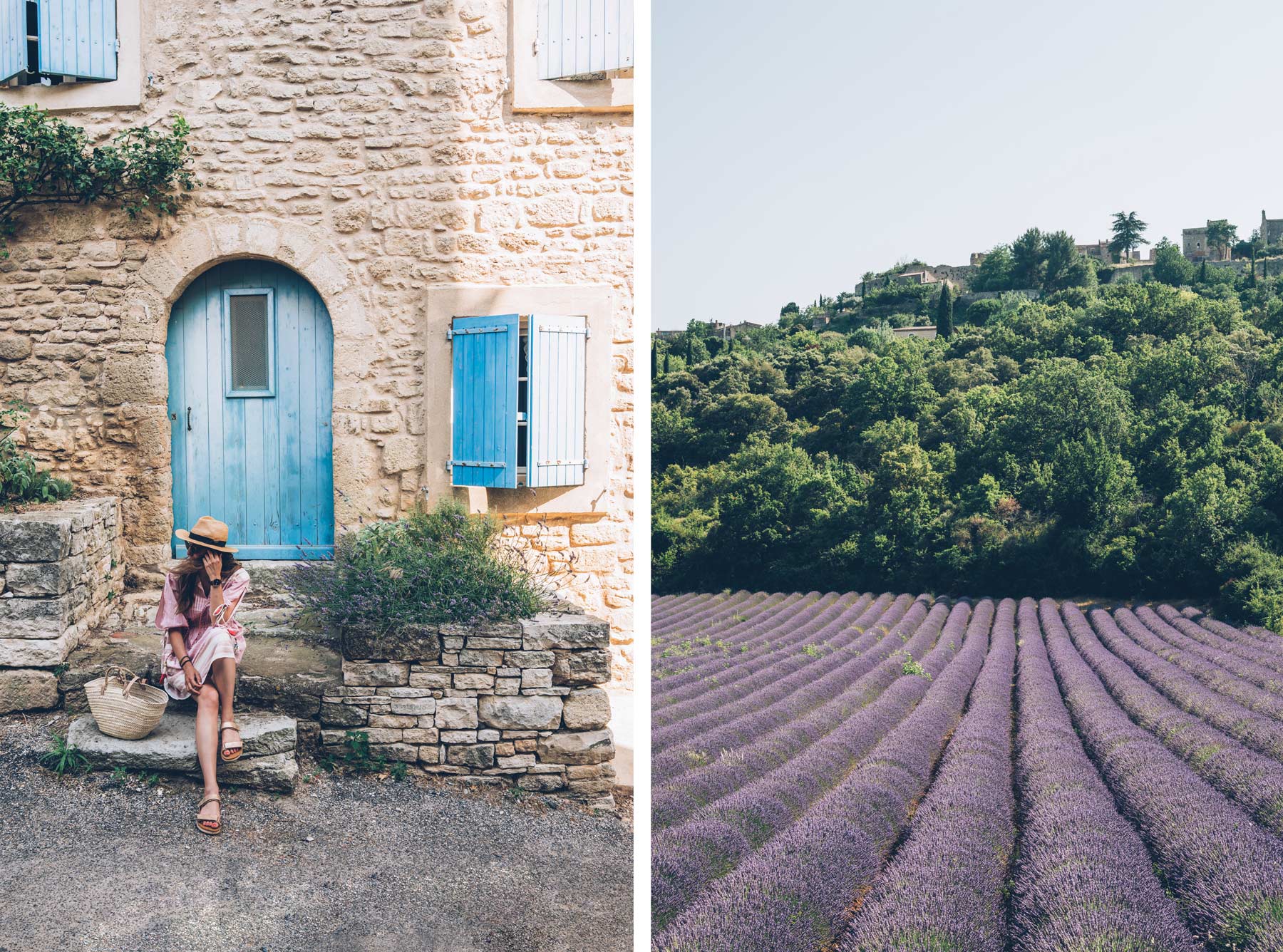 Saignon, Lavande en Provence