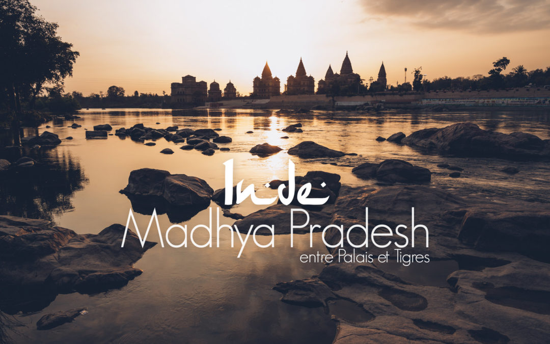 Inde, Madhya Pradesh, 12 jours entre temples et Tigres