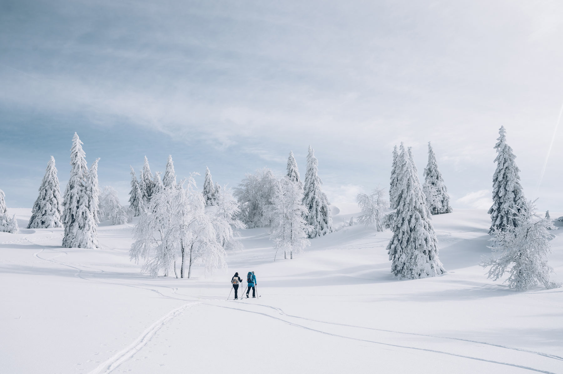 Ski de rando nordique, Metabief