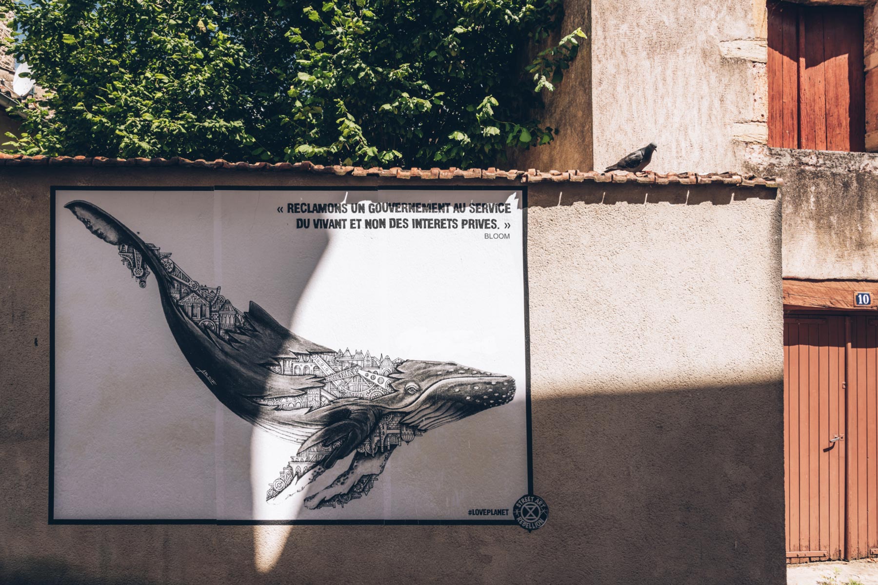 Street Art Tournus, Saône et Loire