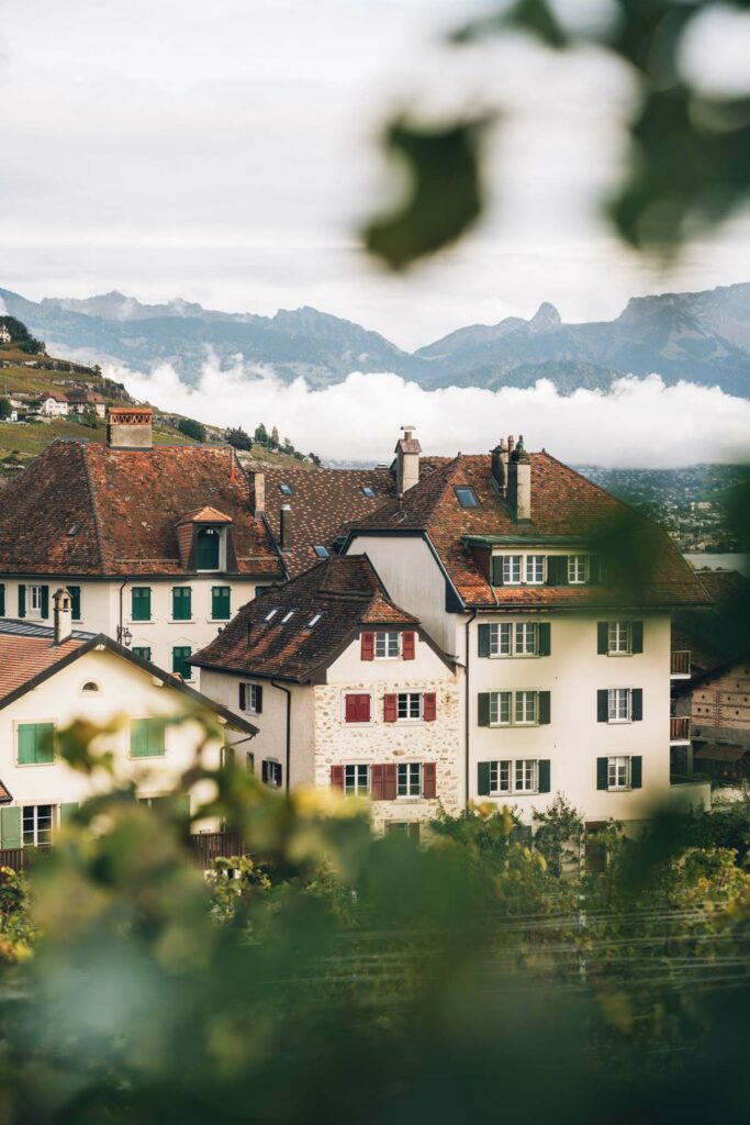 Rivaz, Suisse