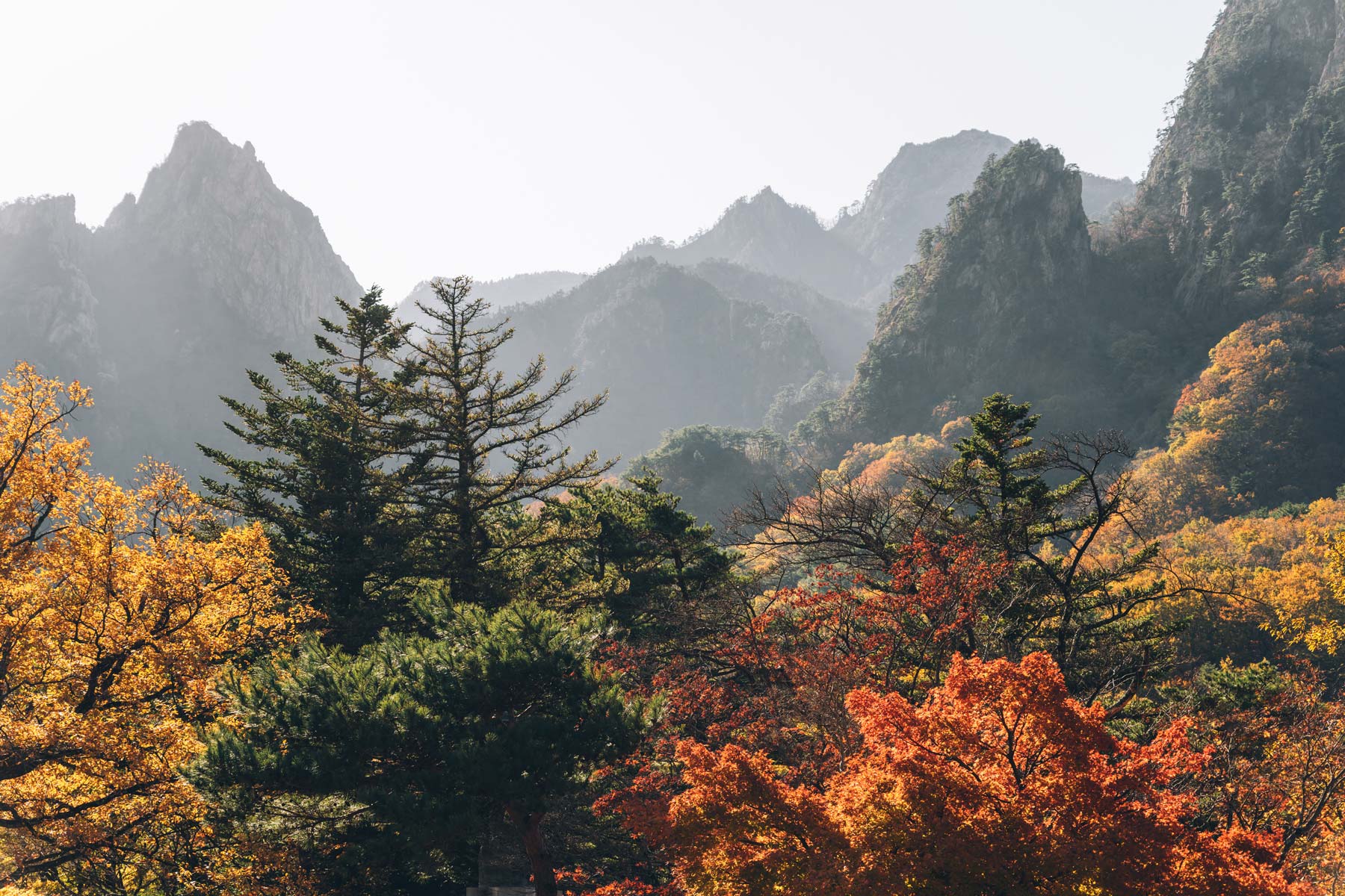 Parc National de Seoraksan, Corée du Sud